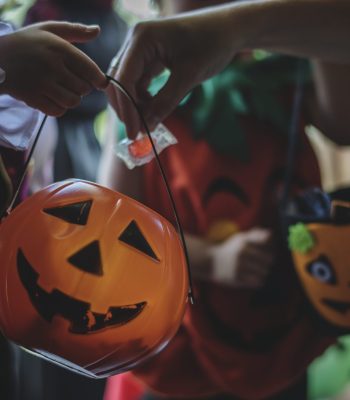 Organizacion de eventos